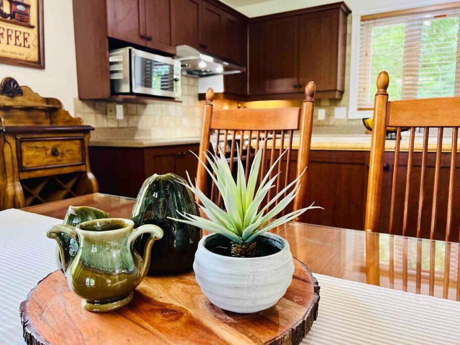 P Tit Boreal- 2 Minutes De La Plage Memphremagog Apartment Ngoại thất bức ảnh